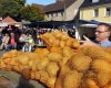 Kartoffelfest Start am Freitag 23.09.2022 - 25.09.2022 mit verkaufsoffenen Sonntag